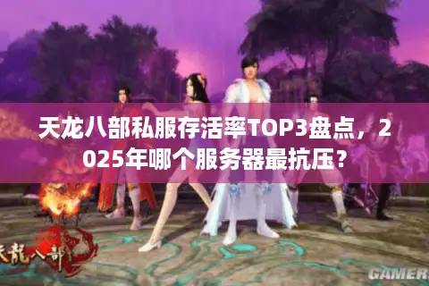 天龙八部私服存活率TOP3盘点，2025年哪个服务器最抗压？