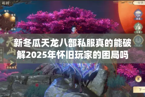 新冬瓜天龙八部私服真的能破解2025年怀旧玩家的困局吗？