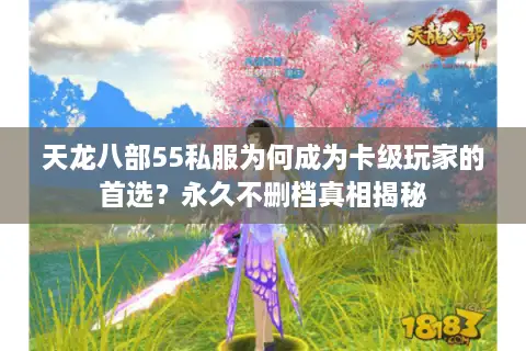 天龙八部55私服为何成为卡级玩家的首选？永久不删档真相揭秘
