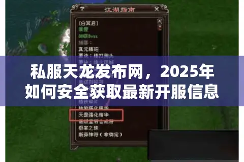 私服天龙发布网，2025年如何安全获取最新开服信息？