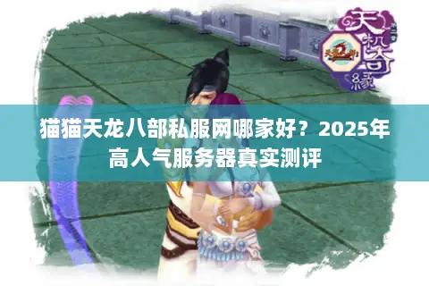 猫猫天龙八部私服网哪家好？2025年高人气服务器真实测评