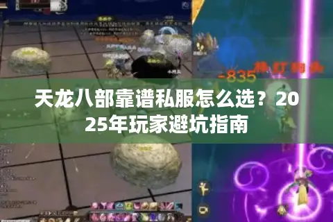 天龙八部靠谱私服怎么选?2025年玩家避坑指南 天龙八部靠谱私服怎么选?2025年玩家避坑指南