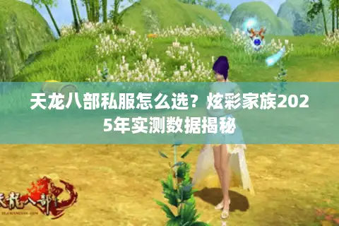 天龙八部私服怎么选？炫彩家族2025年实测数据揭秘