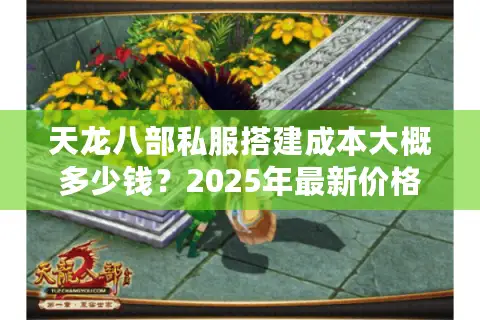 天龙八部私服搭建成本大概多少钱？2025年最新价格清单解析