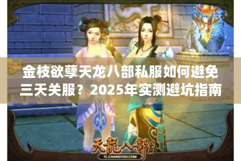 金枝欲孽天龙八部私服如何避免三天关服？2025年实测避坑指南