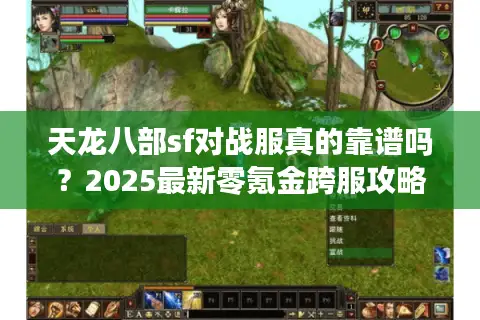 天龙八部sf对战服真的靠谱吗？2025最新零氪金跨服攻略来了