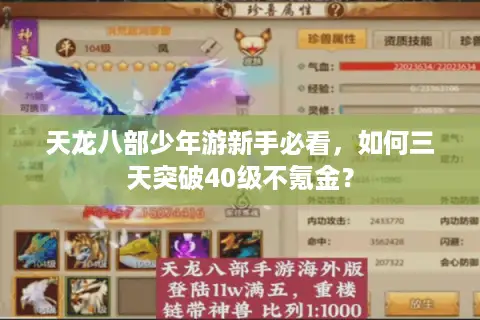 天龙八部少年游新手必看，如何三天突破40级不氪金？