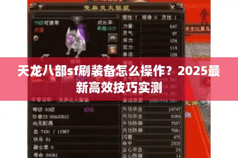 天龙八部sf刷装备怎么操作?2025最新高效技巧实测 天龙八部sf刷装备怎么操作?2025最新高效技巧实测