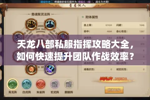 天龙八部私服指挥攻略大全，如何快速提升团队作战效率？