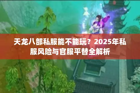 天龙八部私服能不能玩？2025年私服风险与官服平替全解析