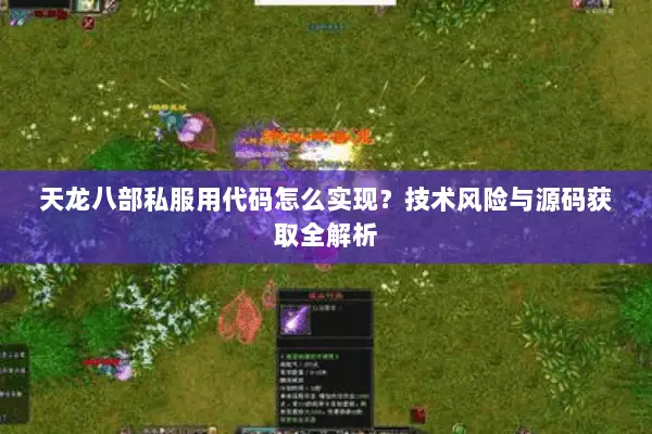 天龙八部私服用代码怎么实现？技术风险与源码获取全解析