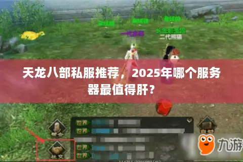 天龙八部私服推荐，2025年哪个服务器最值得肝？