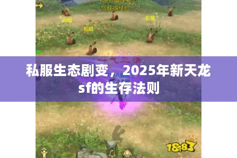 私服生态剧变，2025年新天龙sf的生存法则