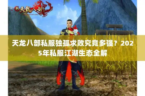 天龙八部私服独孤求败究竟多强？2025年私服江湖生态全解