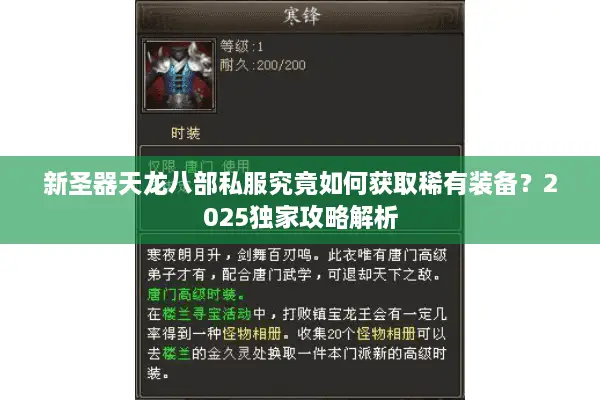 新圣器天龙八部私服究竟如何获取稀有装备？2025独家攻略解析
