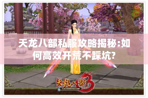 天龙八部私服攻略揭秘:如何高效开荒不踩坑?