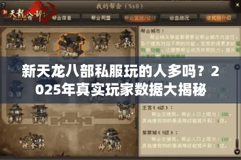 新天龙八部私服玩的人多吗？2025年真实玩家数据大揭秘
