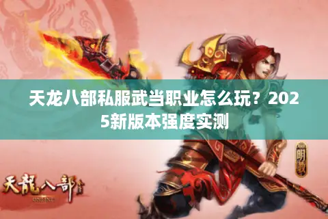 天龙八部私服武当职业怎么玩？2025新版本强度实测