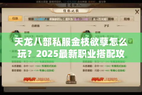 天龙八部私服金枝欲孽怎么玩？2025最新职业搭配攻略