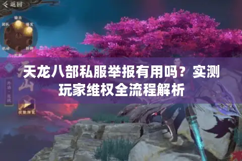 天龙八部私服举报有用吗？实测玩家维权全流程解析