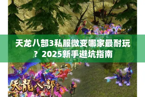 天龙八部3私服微变哪家最耐玩图片