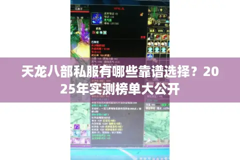 天龙八部私服有哪些靠谱选择？2025年实测榜单大公开