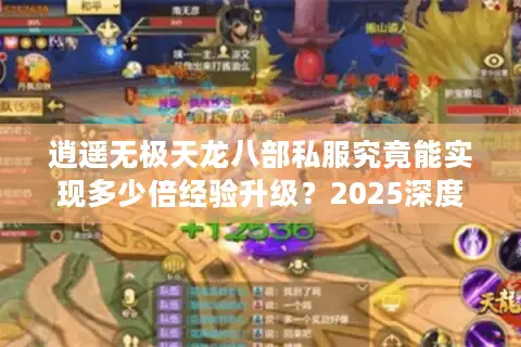 逍遥无极天龙八部私服究竟能实现多少倍经验升级?2025深度测评 逍遥无极天龙八部私服究竟能实现多少倍经验升级?2025深度测评
