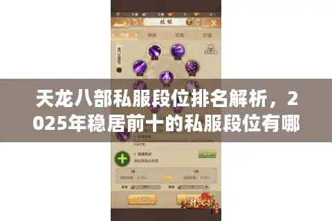 天龙八部私服段位排名解析，2025年稳居前十的私服段位有哪些？