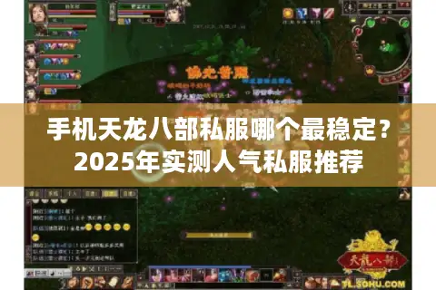 手机天龙八部私服哪个最稳定？2025年实测人气私服推荐