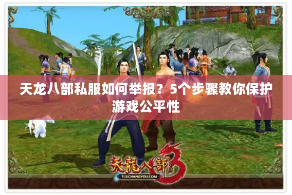 天龙八部私服如何举报?5个步骤教你保护游戏公平性 天龙八部私服如何举报?5个步骤教你保护游戏公平性