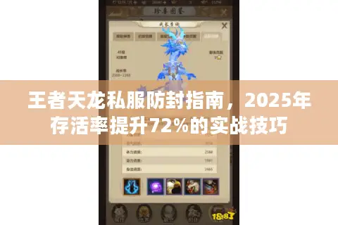 王者天龙私服防封指南，2025年存活率提升72%的实战技巧