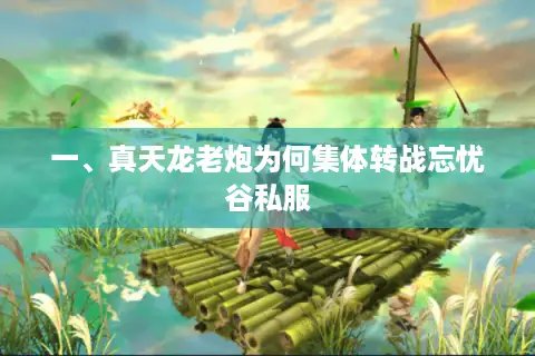 一、真天龙老炮为何集体转战忘忧谷私服