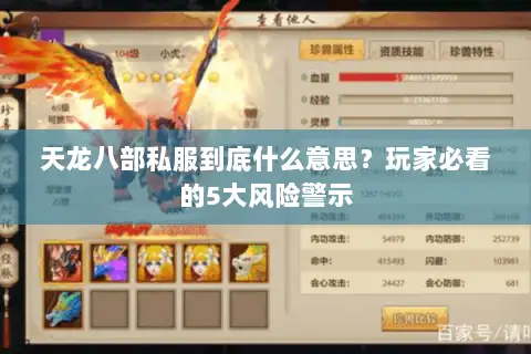 天龙八部私服到底什么意思？玩家必看的5大风险警示