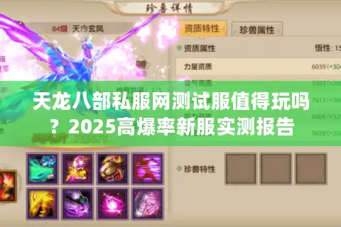 天龙八部私服网测试服值得玩吗？2025高爆率新服实测报告