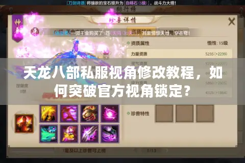 天龙八部私服视角修改教程，如何突破官方视角锁定？