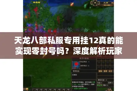 天龙八部私服专用挂12真的能实现零封号吗？深度解析玩家生存法则