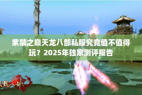 紫禁之巅天龙八部私服究竟值不值得玩？2025年独家测评报告