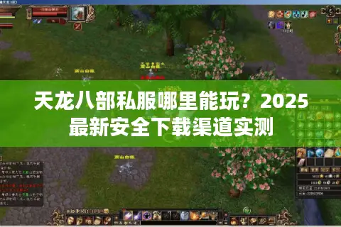 天龙八部私服哪里能玩？2025最新安全下载渠道实测