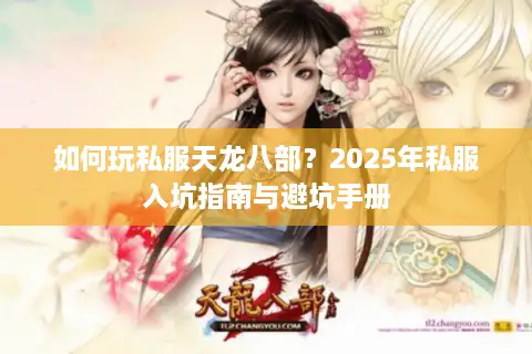 如何玩私服天龙八部？2025年私服入坑指南与避坑手册