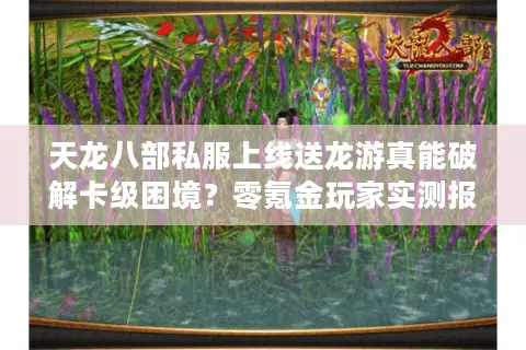 天龙八部私服上线送龙游真能破解卡级困境？零氪金玩家实测报告