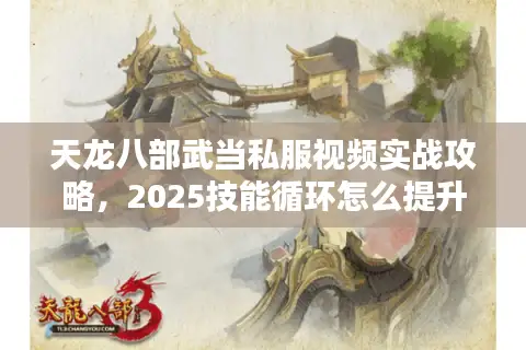 天龙八部武当私服视频实战攻略，2025技能循环怎么提升伤害？