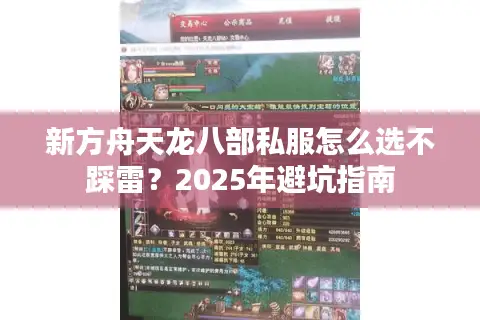 新方舟天龙八部私服怎么选不踩雷？2025年避坑指南