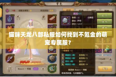 猫咪天龙八部私服如何找到不氪金的萌宠专属服？