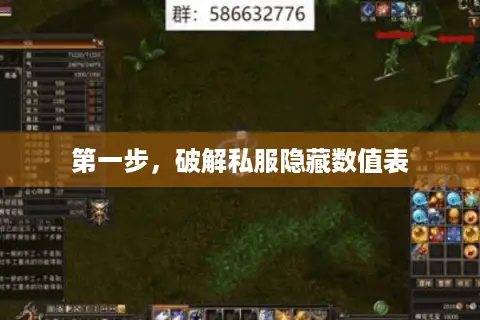第一步，破解私服隐藏数值表