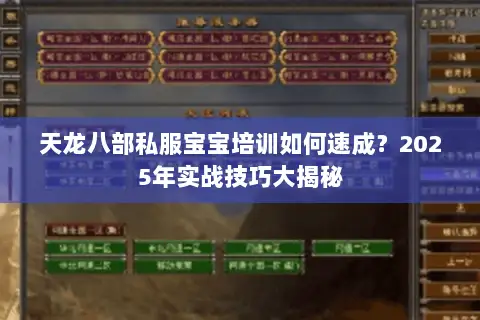天龙八部私服宝宝培训如何速成？2025年实战技巧大揭秘