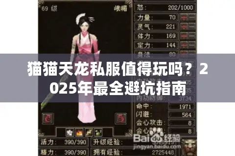 猫猫天龙私服值得玩吗？2025年最全避坑指南