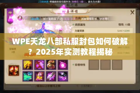 WPE天龙八部私服封包如何破解？2025年实测教程揭秘