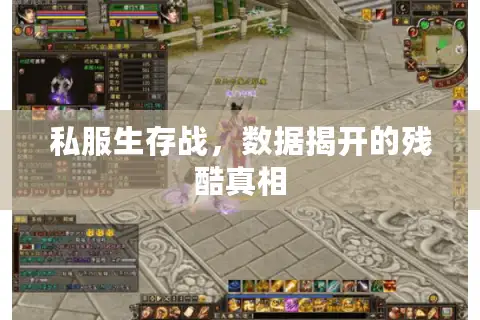 私服生存战,数据揭开的残酷真相 私服生存战,数据揭开的残酷真相