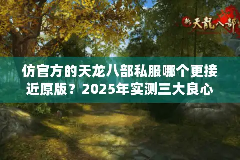 仿官方的天龙八部私服哪个更接近原版？2025年实测三大良心服推荐