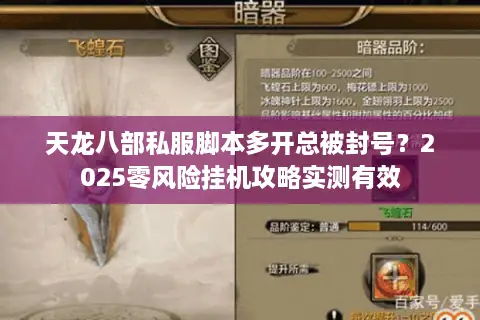 天龙八部私服脚本多开总被封号?2025零风险挂机攻略实测有效 天龙八部私服脚本多开总被封号?2025零风险挂机攻略实测有效